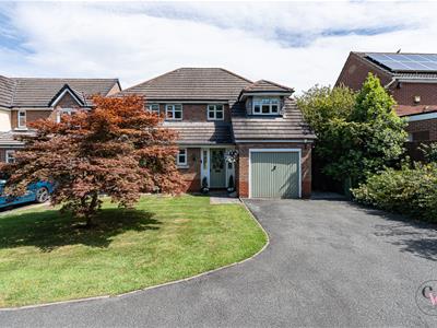 Picture 58